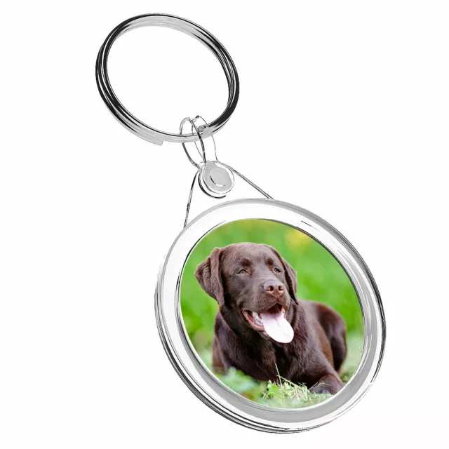 1 X Beautiful Chocolate Labrador - Keyring IR02 Mum Dad Birthday Gift #15829