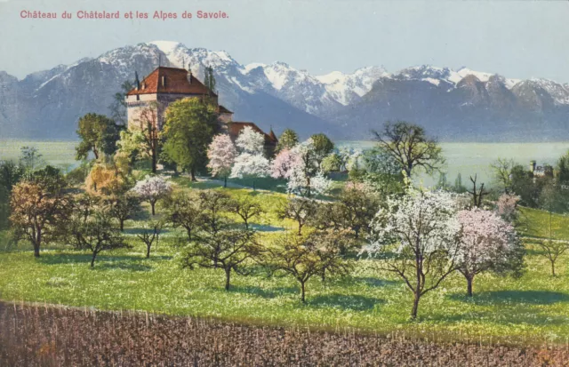 Schweiz - Kol. AK - Chateau du Chatelard et les Alpes de Savoie - 1917