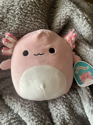 cracker barrel archie axolotl