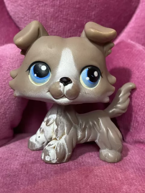 LITTLEST PET SHOP LPS ~ Grey COLLIE PUPPY DOG WITH BLUE EYES ~ #67