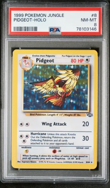 PSA 8 NM-MT Pidgeot 1999 Jungle 8/64 HOLO Pokemon Card