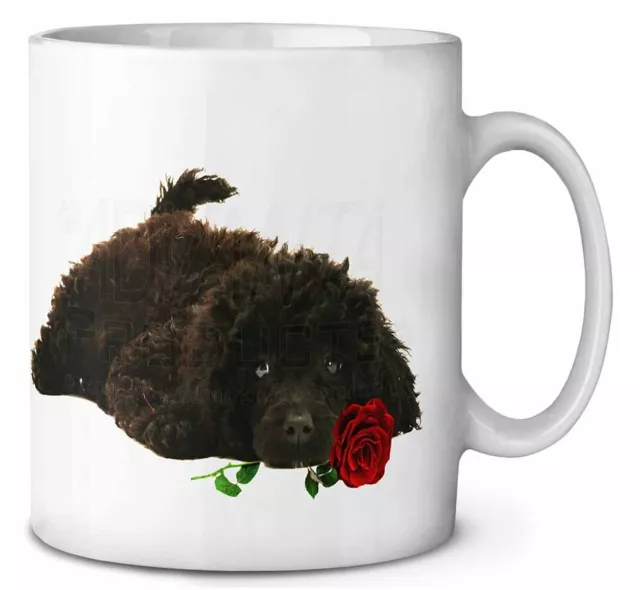 Miniature Poodle Dog with Red Rose Ceramic 10oz Coffee Mug/Tea Cup, AD-POD9RMG