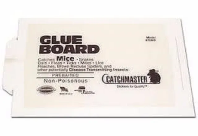 288 Catchmaster Peanut Butter Flavor Glue Boards Mice Rats Insects