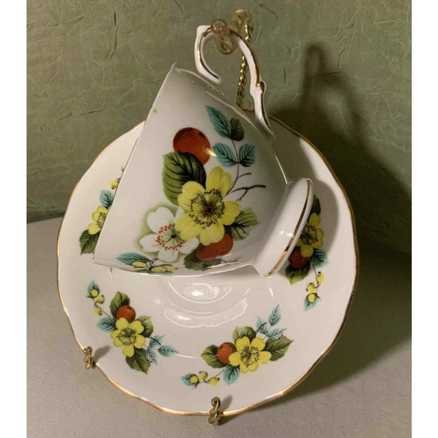 Juego de té y platillo chino de hueso fino inglés Royal Vale flor & rosalehips