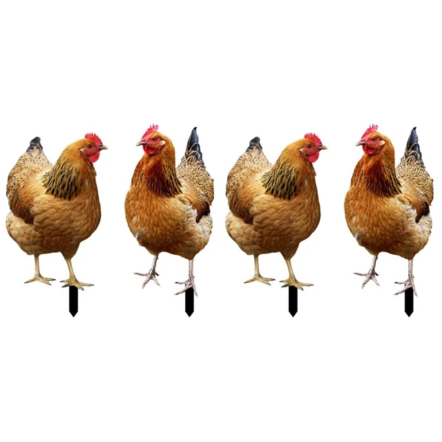 4 pièces poulet cour piquet chicken yard sign chicken yards art poteau de jardin