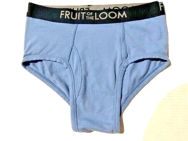 Vtg New FRUIT OF THE LOOM FTL Men Breathable Cotton Mesh Brief Underwear sz M