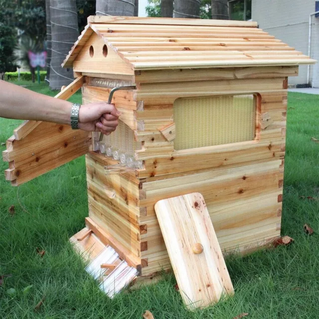 7X Auto Flowing Honey Beehive Frame +Wooden Bee Hive House Comb Bee Hve Box Kit