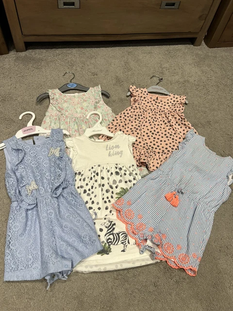 baby girl clothes bundle 9-12 months