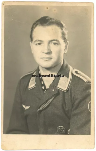 Orig. Foto AK Portrait Luftwaffe mit BMW Anstecknadel Orden Falkenburg 1944