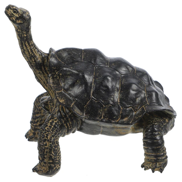 Schleich – Figurine Tortue Terrestre Géante Wild Life – Détails Réalistes – Jouet éducatif – Dès 3 Ans – Cadeau Garçon Et Fille
