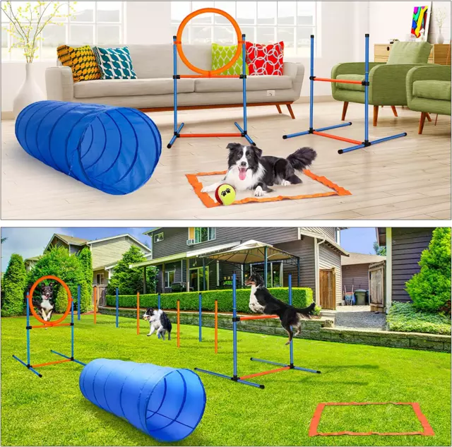 Agility Dog Attrezzatura, 60pz,  Tunnel per Cani, Ostacoli, Slalom, Anello 3