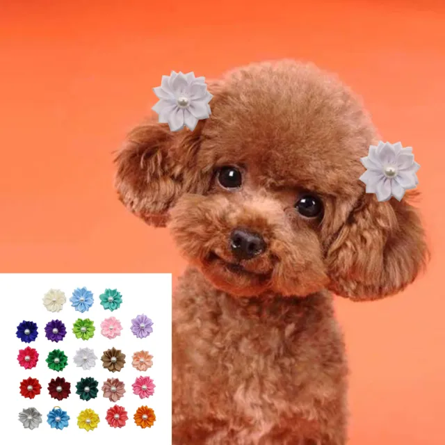 50 un. clips de pelo de cachorro diseño de perlas sintéticas cantidad suficiente lindo perro pequeño