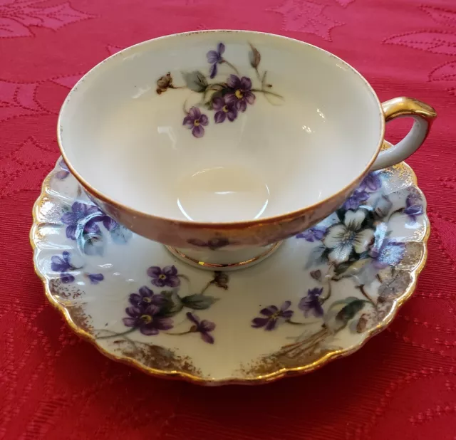UCAGCO CHINA VTG White/Gold Trim Violet Flower Hand Painted Teacup/Saucer-JAPAN