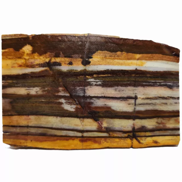 Outback Jasper, Banded Iron-Rich Chert, Western Australia, 163g