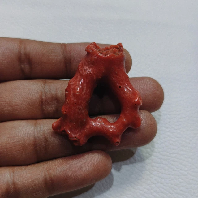 Branche De Corail Italien 100% Naturel - Pierre Précieuse Rouge 31,65 Carats | Bijou Ou Collection