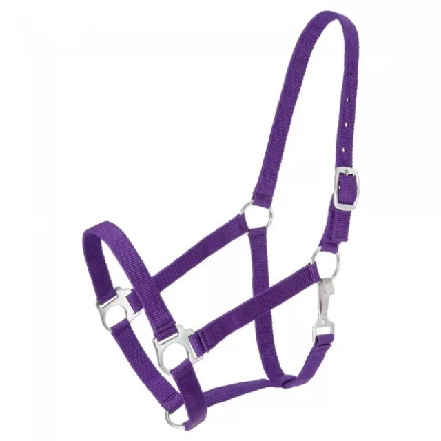 Tough 1 Purple Nylon Economy Horse Sized Halter horse tack equine 50-7201