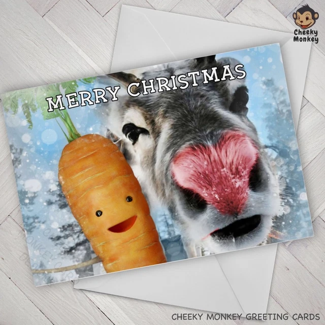 FUNNY CHRISTMAS CARD Kevin the Carrot Aldi family £2.85 PicClick UK