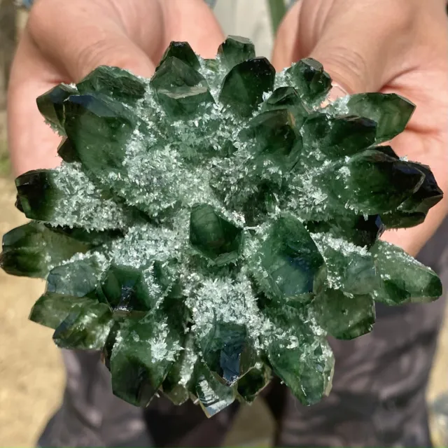 1.43LB New Find Green Phantom Quartz Crystal Cluster Mineral Specimen Healing