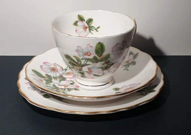 Vintage Royal Vale Fine Bone China Trio - Cup, Saucer, Plate. Wild Roses - E.C