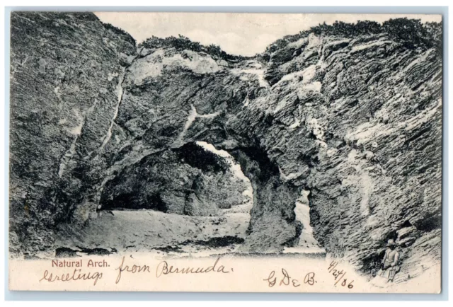 1906 Natural Arch Greetings from Bermuda Jamaica NY Posted Postcard