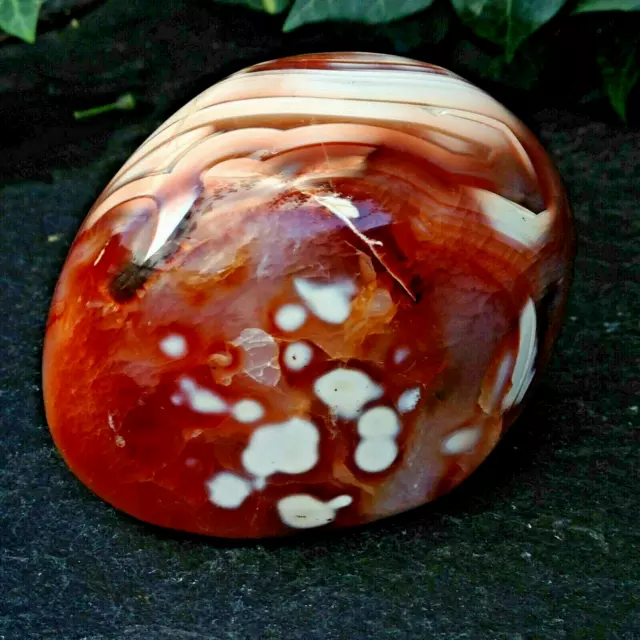 Stunning Carnelian Agate Crystal Healing Root & Sacral Chakras 284g 7.6x6x4.3cm