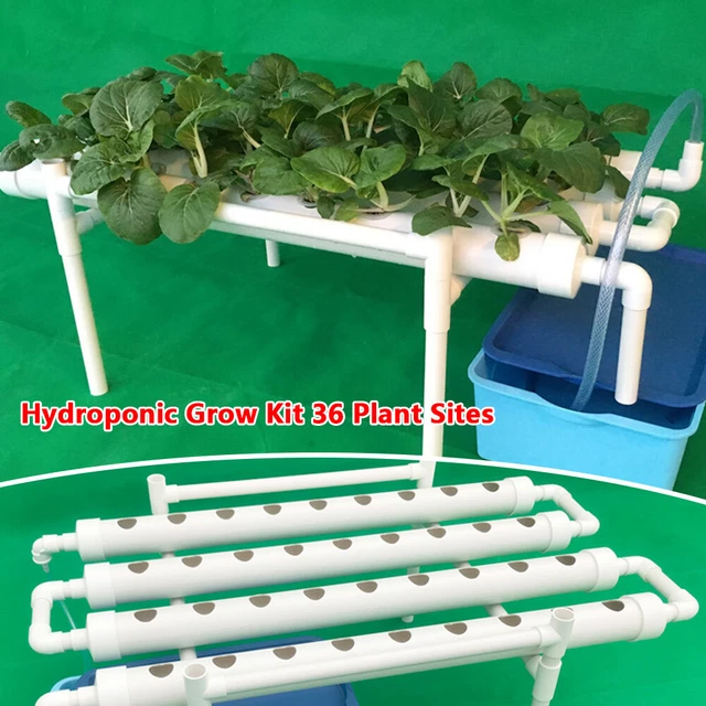 KIT COLTIVAZIONE IDROPONICA Giardino Idrocoltura Piante Sistema Irrigazione 314677449639