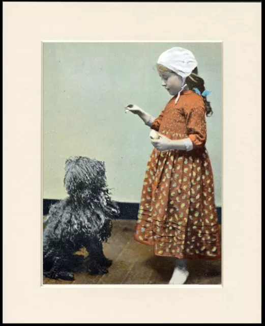 Hungarian Puli And Little Girl Charming Dog Print Mounted Ready To Frame