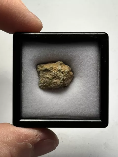 NWA 12241 Martian Shergottite Meteorite 2.53g