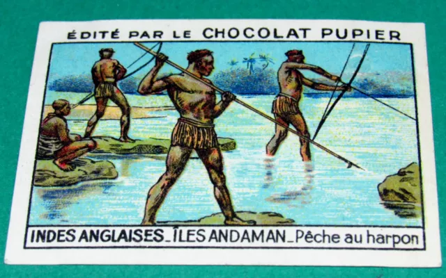 Chromo Indes Anglaises N°114 Chocolat Pupier Asie 1936 Iles Andaman Peche Harpon