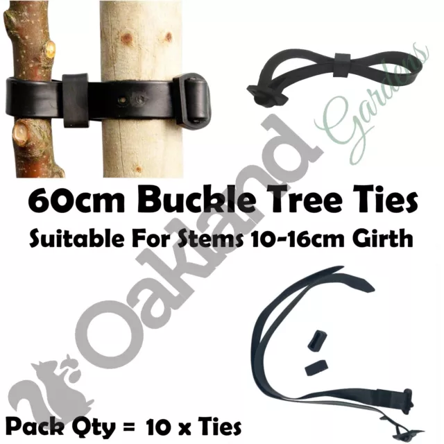 60cm Rubber Tree Ties Buckle Strap Plant Support Whip Bare Root Straps Qty = 10