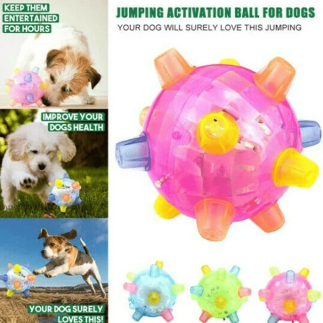 Jumping ball toy for deals dogs