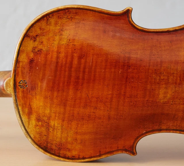 old violin 4/4 geige viola cello fiddle label CARLO ANTONIO TESTORE Nr. 1427