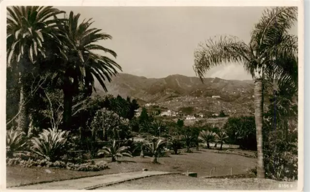 73970788 FUNCHAL_Madeira_PT View from the British Country Club