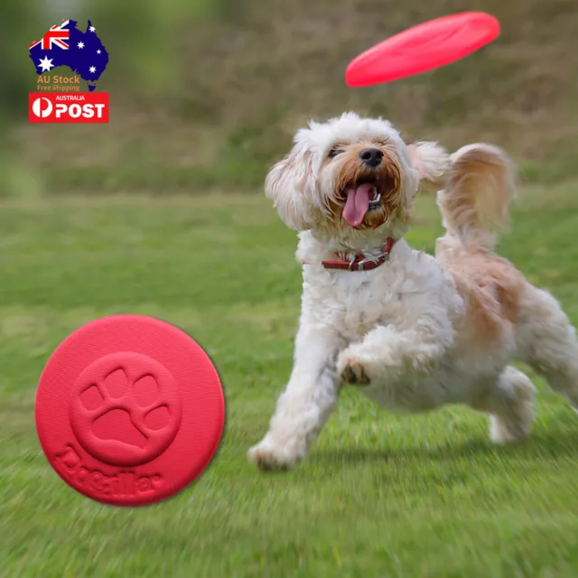 Pet Dog Frisbee Flying Disc Dog Fetch Chewing Toy Durable Medium Large Dog Toy