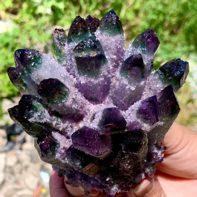 516G New Find purple Phantom Quartz Crystal Cluster Mineral Specimen Healing