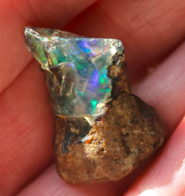 Opale de Feu Brute Multicolore d'Ethiopie  de 21,275 ct