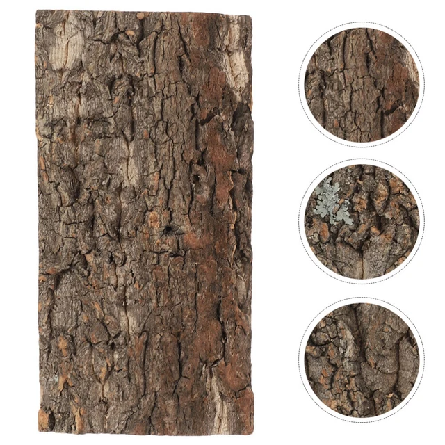 Accesorios de terrario de rana de corteza de corcho para reptiles