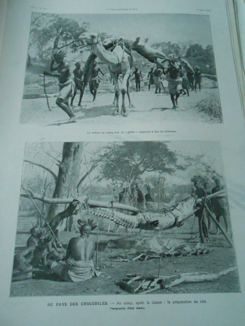 Publicité Ancienne "Au Pays Des Crocodiles" - 1908 - Tirage Magazine - 26x36 Cm - France
