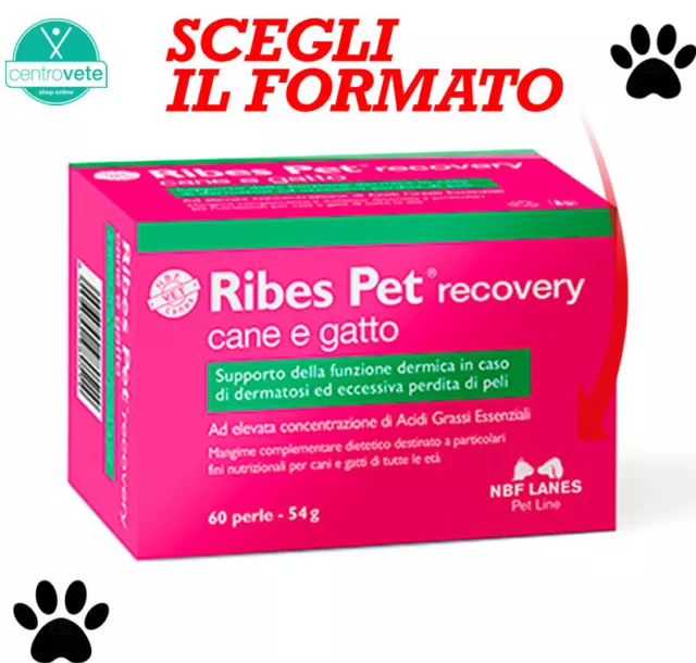 RIBES PET RECOVERY cane e gatto 180 perle integratore per dermatiti e  allergie EUR 73,99 - PicClick IT