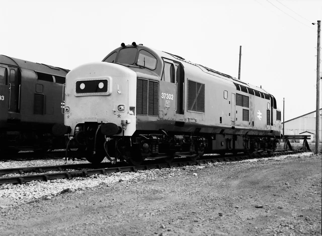 MB 75 RAILWAY Negative Large Format Class 37 302 At Carmarthen 1983 £3. ...