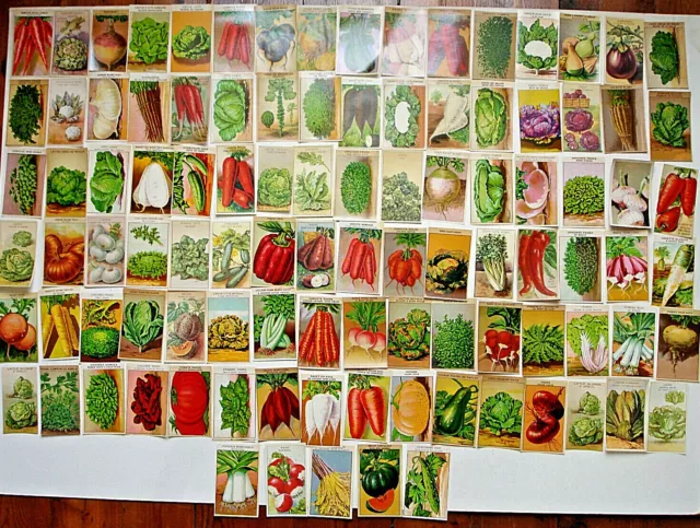 GROS LOT DE 100 ÉTIQUETTES DE LÉGUMES- CHROMOS DEBUT 20e-GRAINETIER-