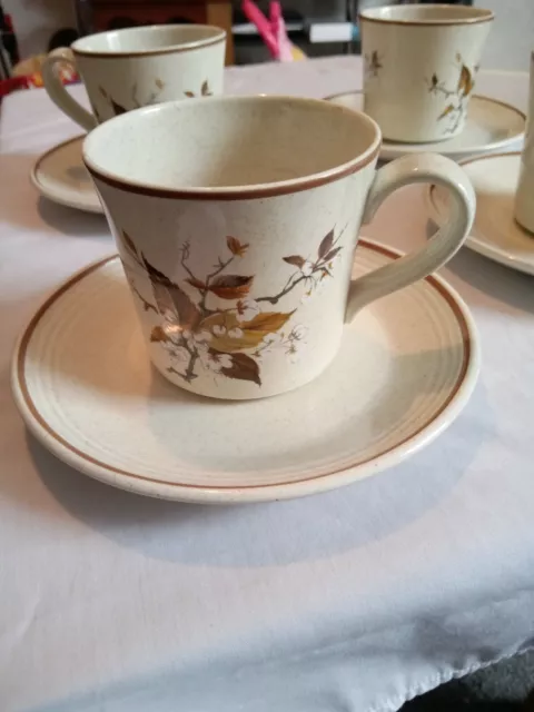 Royal Doulton Lambethware LS1038 Wild Cherry Cups & Saucers (4 available)