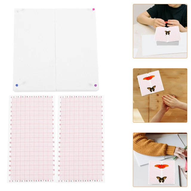 PartyKindom Kit 3 Pannelli Montaggio Farfalle - Display Professionale Per Insetti Con Schiuma EVA - Foto 12