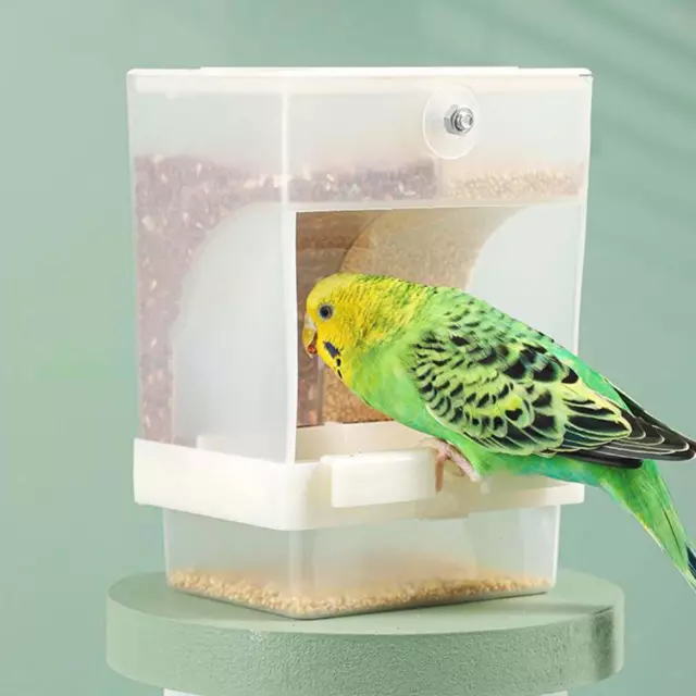 Mangiatoia per uccelli automatica Mangiatoia per pappagalli appesa per
