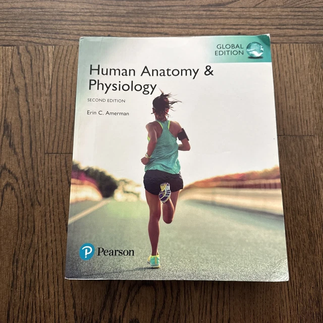 HUMAN ANATOMY & Physiology 2ED Global Erin Amerman Paperback University ...