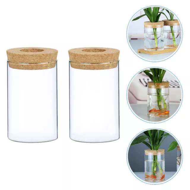 2 pz vaso decorazione scrivania topper legno arte vetro vaso piante da interno