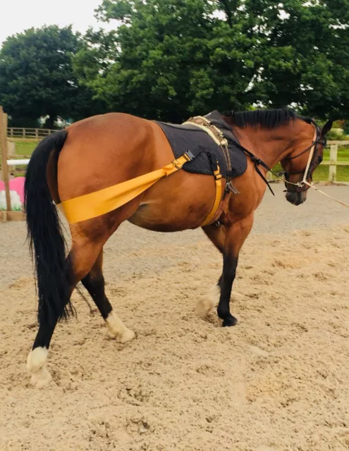 Equine.TRAINING-AID,EXERCISE-PAD,Balance.Develop hind,Core MUSCLE,Lunge or ride.