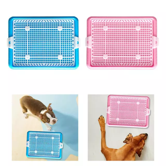 Vasino per interni facile da usare per cani di piccola taglia