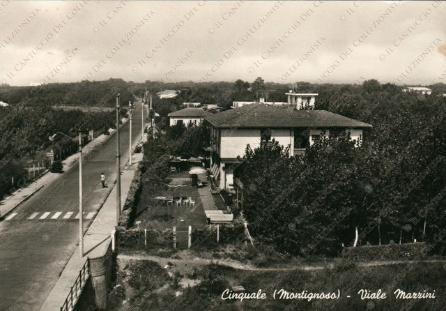 1966 CINQUALE Montignoso Viale Mazzini Pensione Delfin Massa Carrara Cartolina
