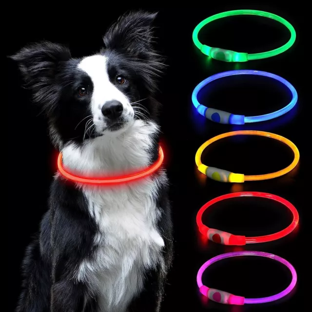 Collare LED per Cani e Gatti Collare Luminoso Impermeabile Ricarica USB Rosso